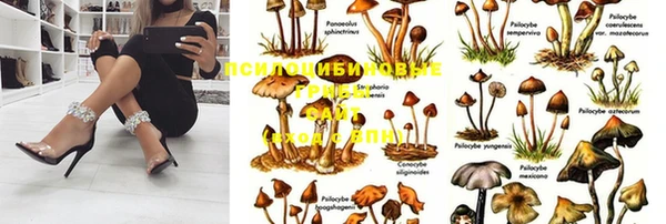 прущая мука Абинск