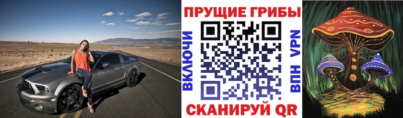 даркнет сайт  Усть-Катав  Галлюциногенные грибы прущие грибы 